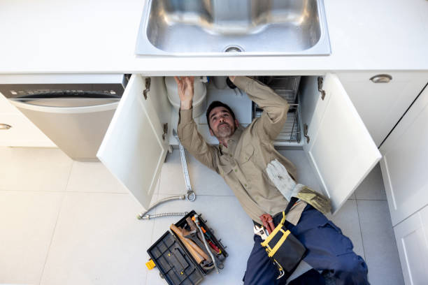 Best 24-Hour Plumber Near Me  in Cottonwood, MN
