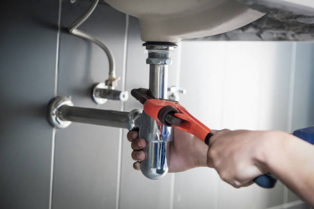 Best Septic Systems  in Cottonwood, MN