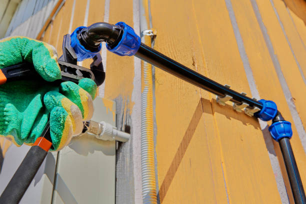 Best Sewer Line Repair  in Cottonwood, MN
